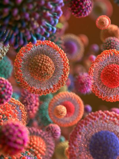 Colorful Micro Bloom Abstract Poster.
