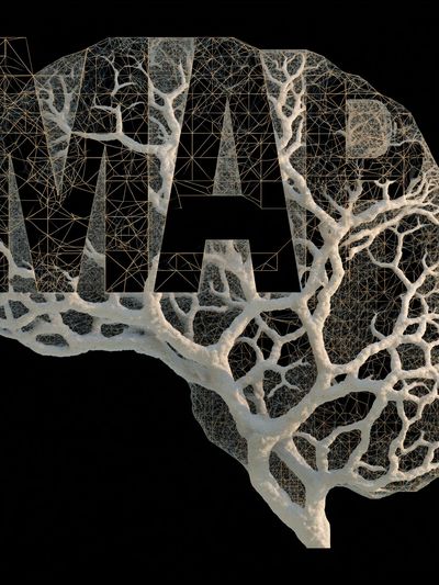 Texas Tree Mesh Abstract Print.