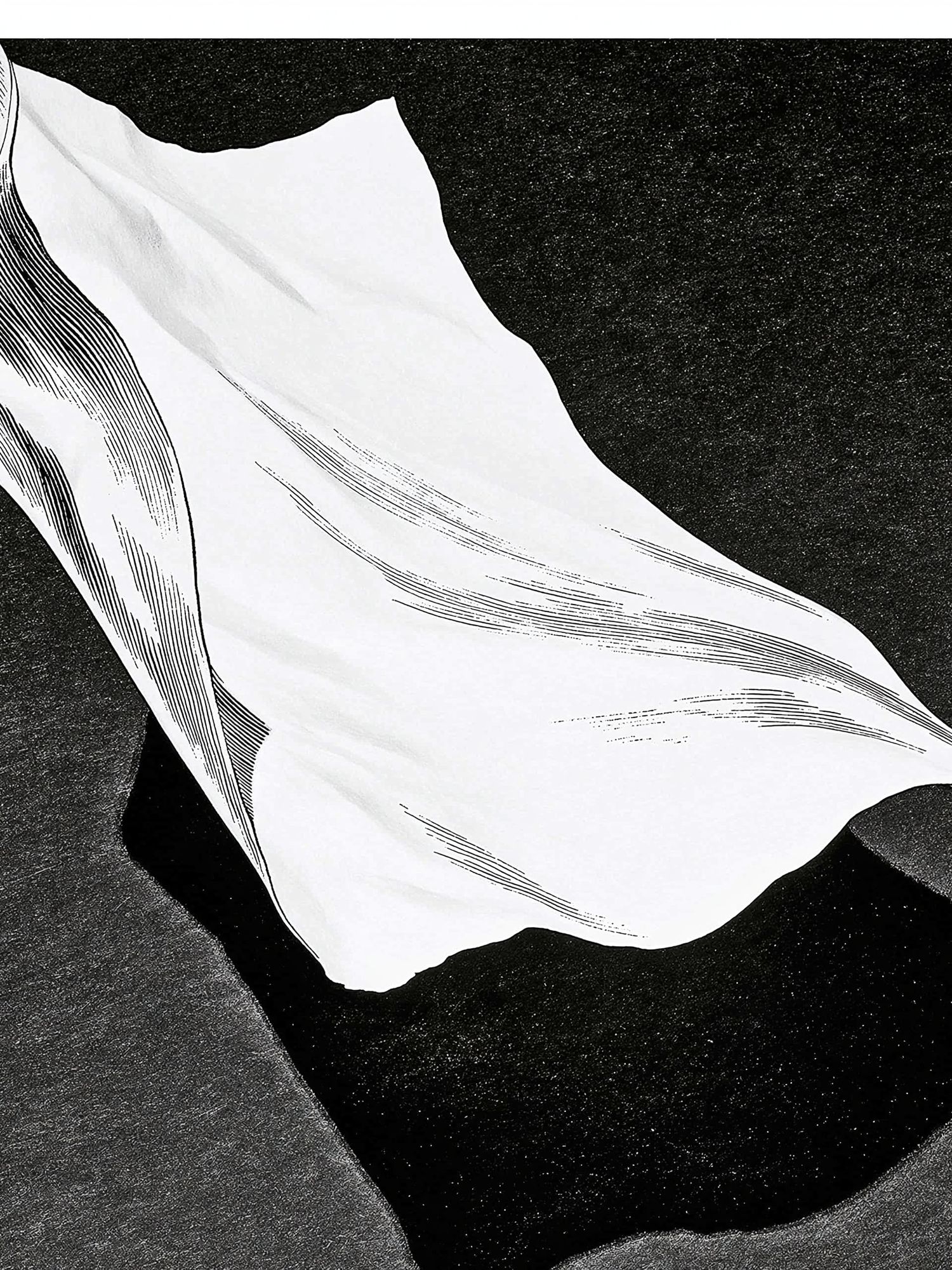 Monochrome Shell Abstract Print. poster detail