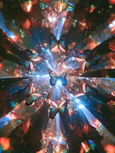 Butterfly Prism Abstract Poster. poster