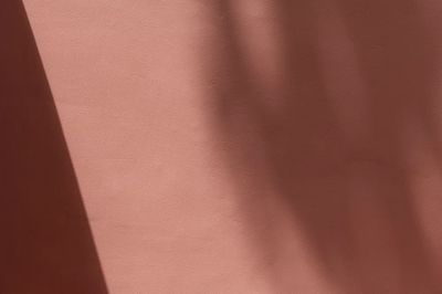 Blank pink wall with shadows.