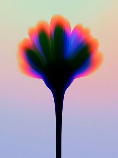 Neon Bloom Abstract Poster.