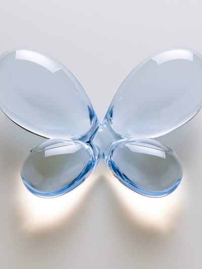 Glass Butterfly Abstract Poster.