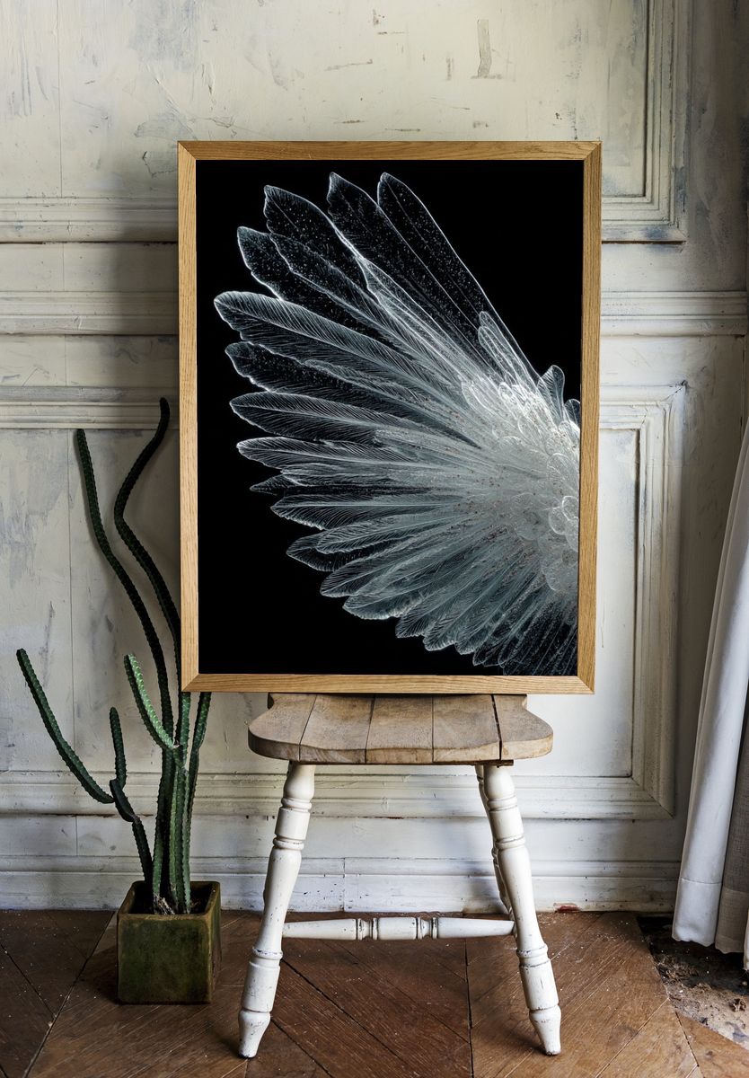 Crystal Feather Abstract Print. — room view 1