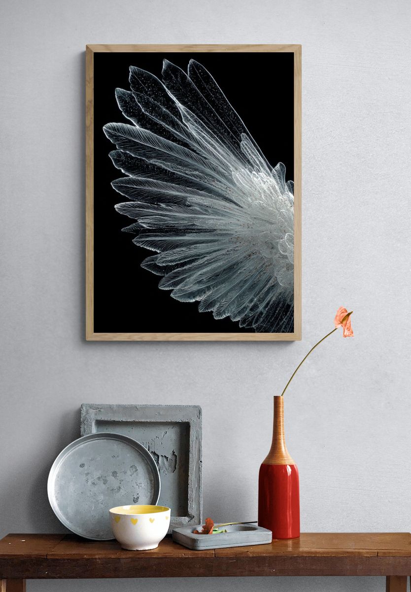 Crystal Feather Abstract Print. — room view 3