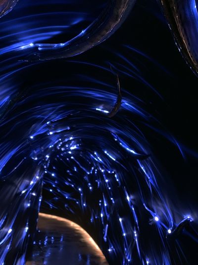 Neon Blue Fiber Tunnel Poster.