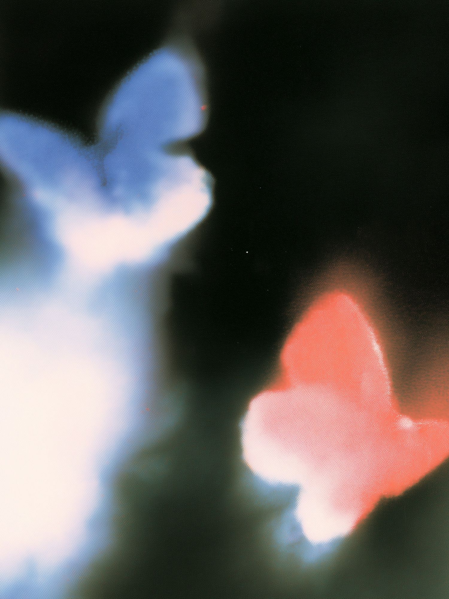 Dreamy Butterfly Abstract Print. poster detail