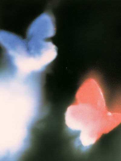 Dreamy Butterfly Abstract Print. poster