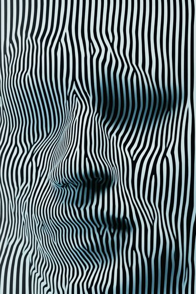 Optical Zebra Stripes Abstract Poster. poster