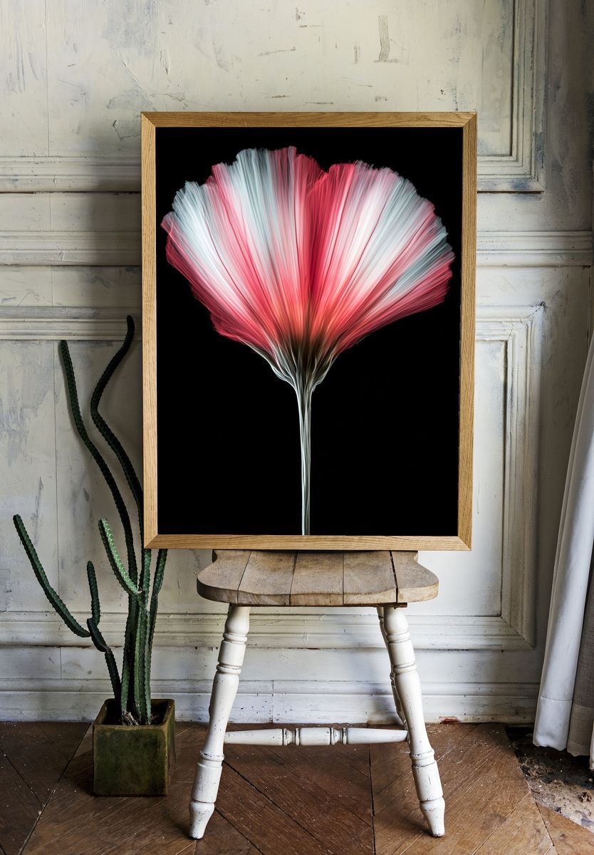 Pink Fiber Bloom Abstract Print. room preview
