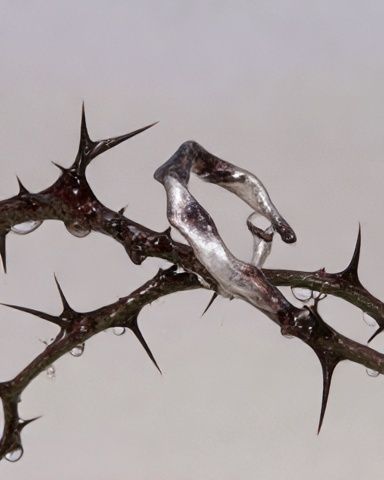 Thorny Branches Abstract Print. poster detail