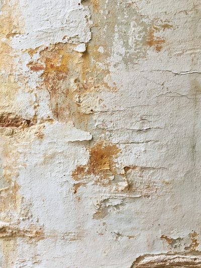 Weathered Plaster Texture Poster. poster
