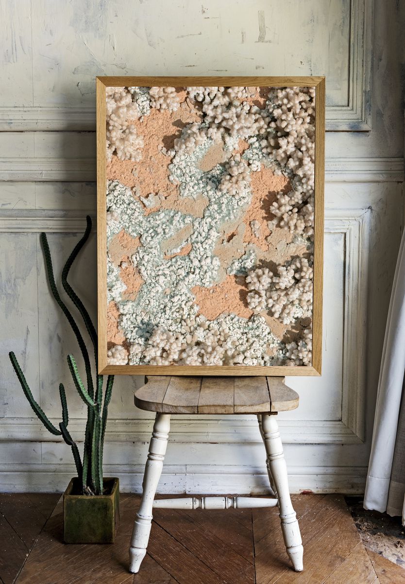 Coral Texture Abstract Print. room preview