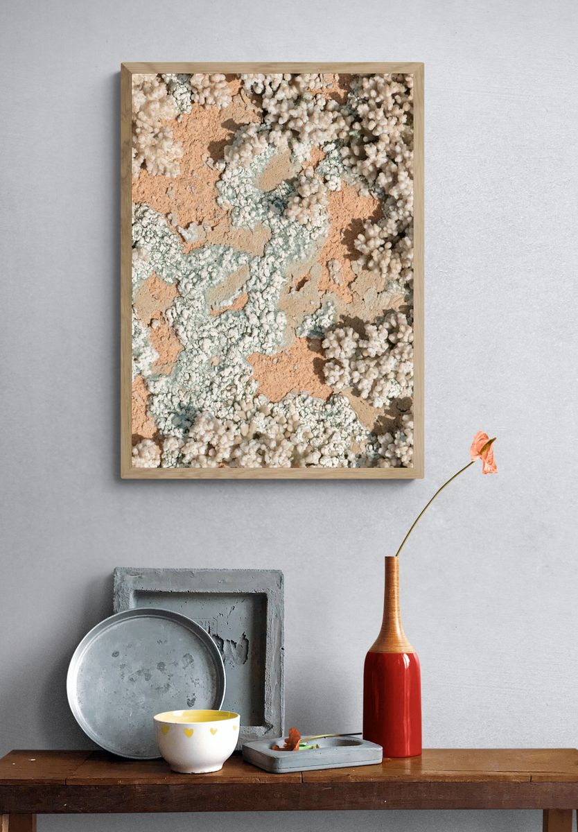 Coral Texture Abstract Print. — room view 3