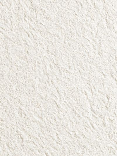 Textured Paper Surface Print.