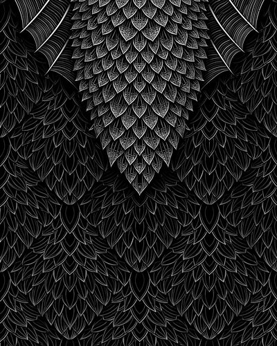 Black Feather Pattern Print. poster