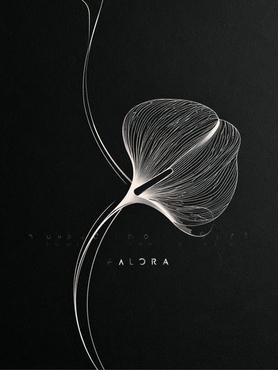 Abstract White Line Art Poster.