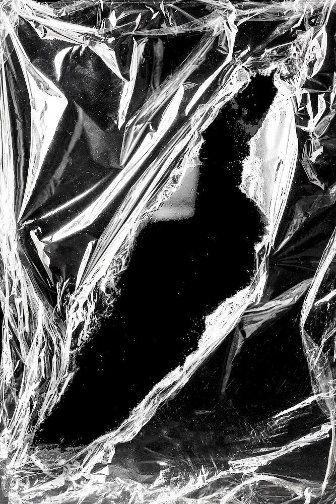 Abstract Black and White Texture Poster. poster detail