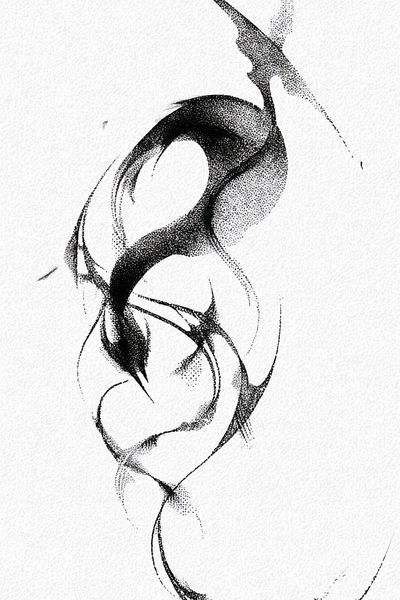 Abstract Black and White Art Poster. poster