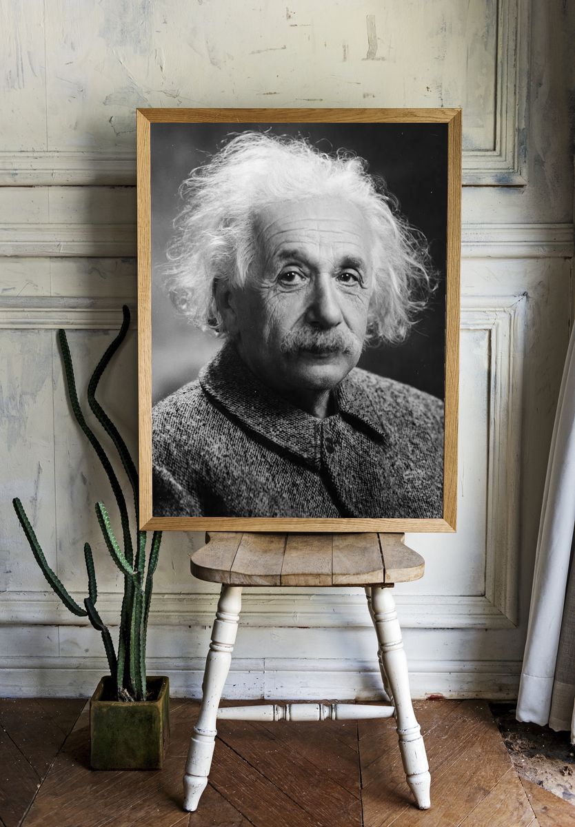 Albert Einstein portrait, famous physicist. — room view 1