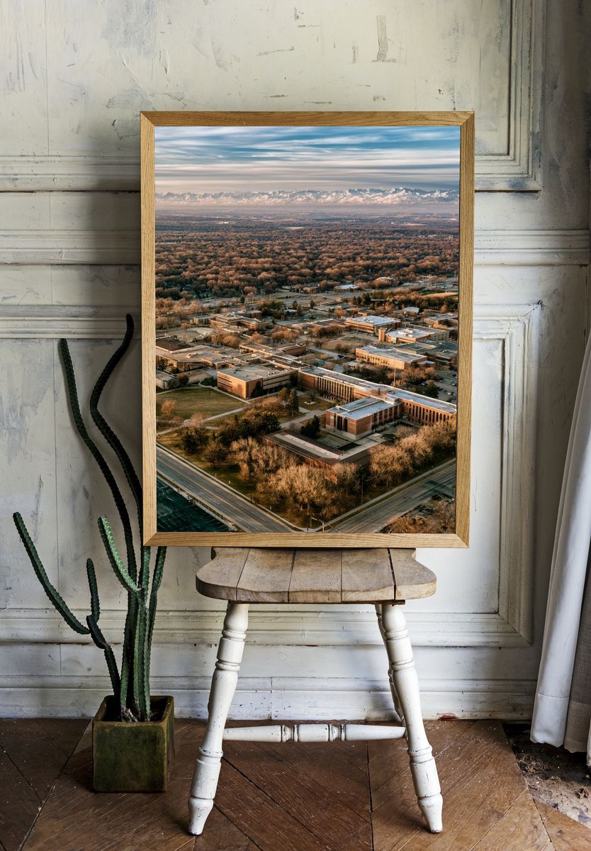 Aerial Campus Landscape Poster. room preview