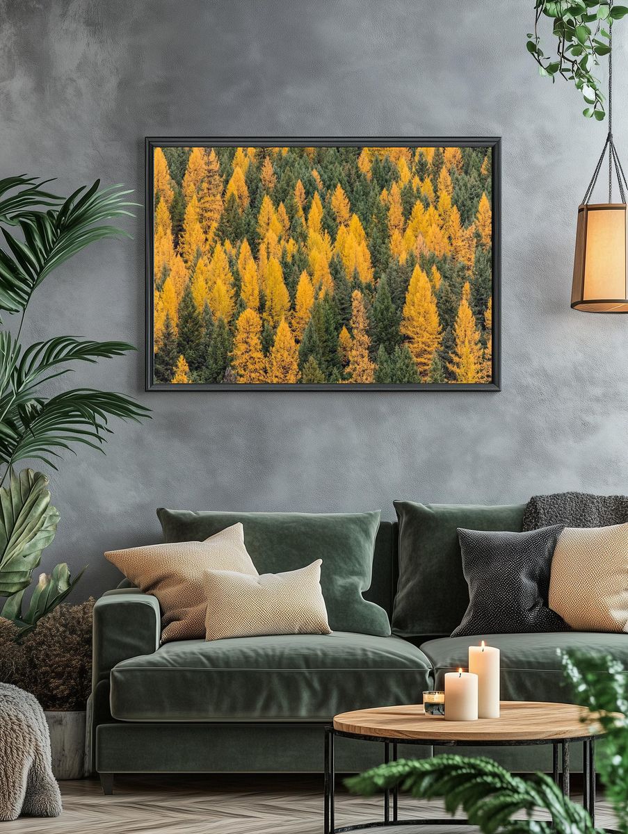 Autumn Forest Landscape Poster. — room view 4