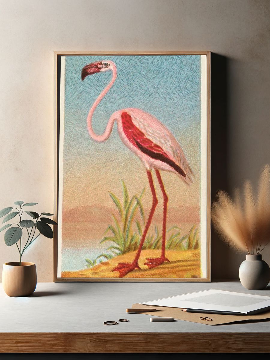 African Flamingo — Vintage Print. — room view 2
