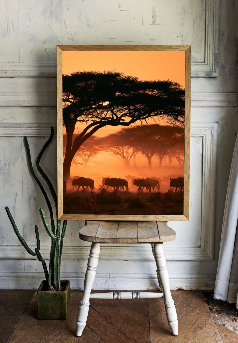 African Savannah Sunset Photography Poster. room preview