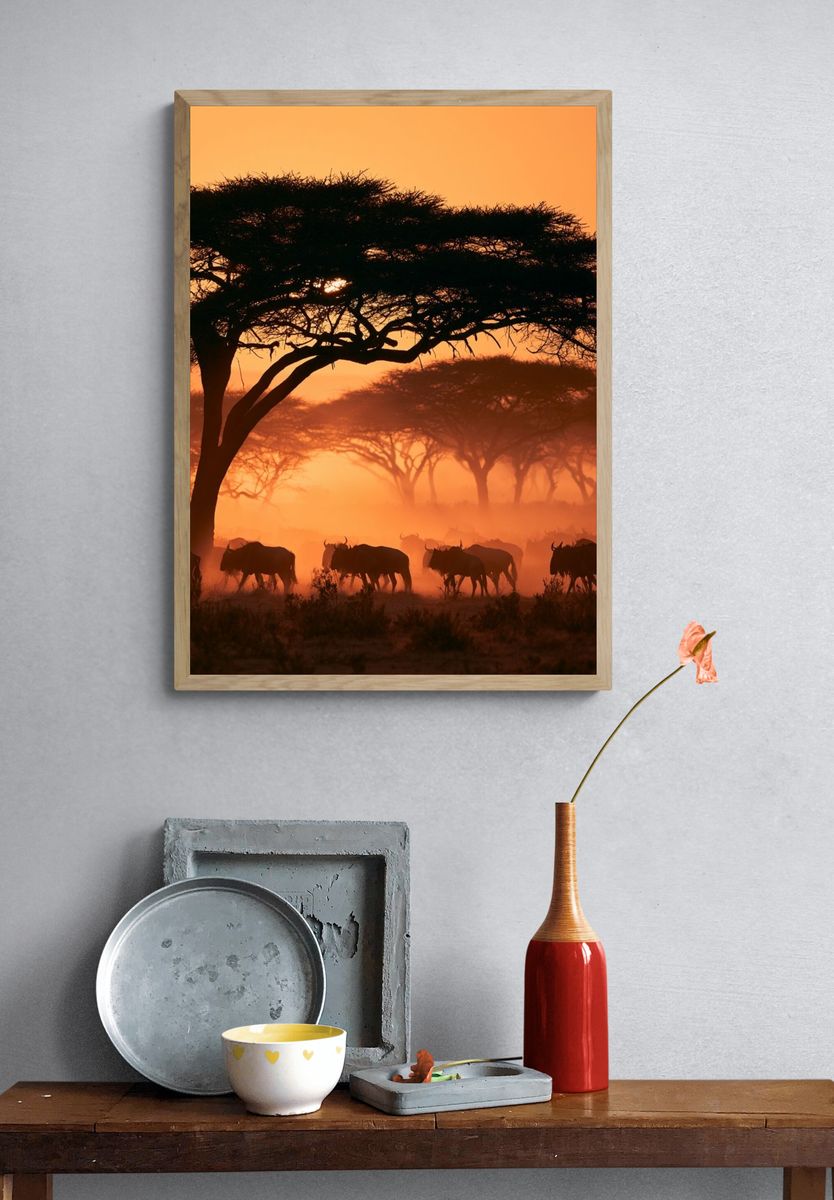 African Savannah Sunset Photography Poster. — room view 3