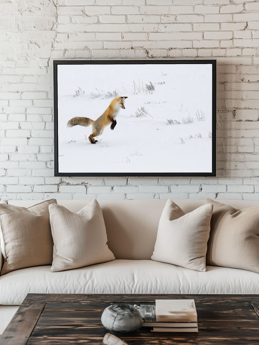 Hunting fox, Hayden Valley. Original. — room view 1