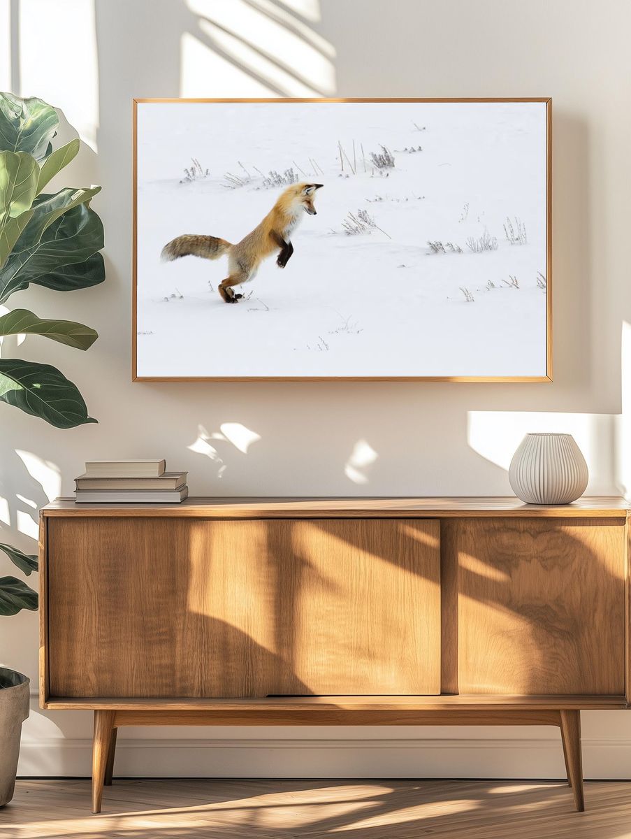 Hunting fox, Hayden Valley. Original. — room view 3