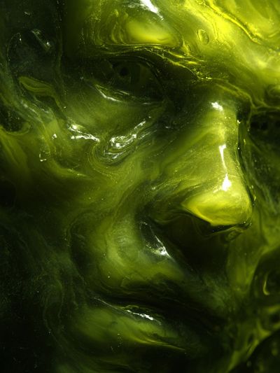 Abstract Green Face Poster. poster print
