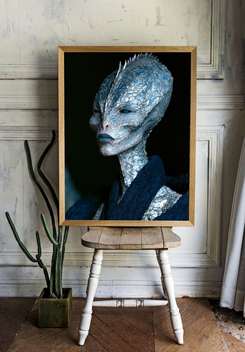 Alien Portrait Photography Poster. — room view 1