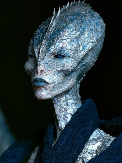 Alien Portrait Photography Poster. poster