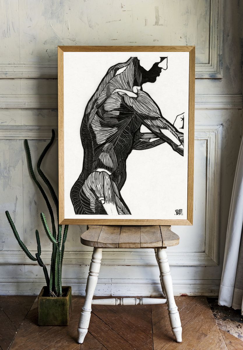 Anatomical study man's lateral arm. room preview
