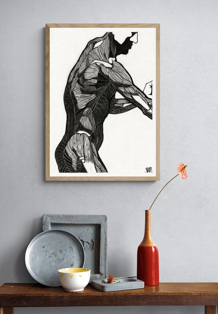 Anatomical study man's lateral arm. — room view 3