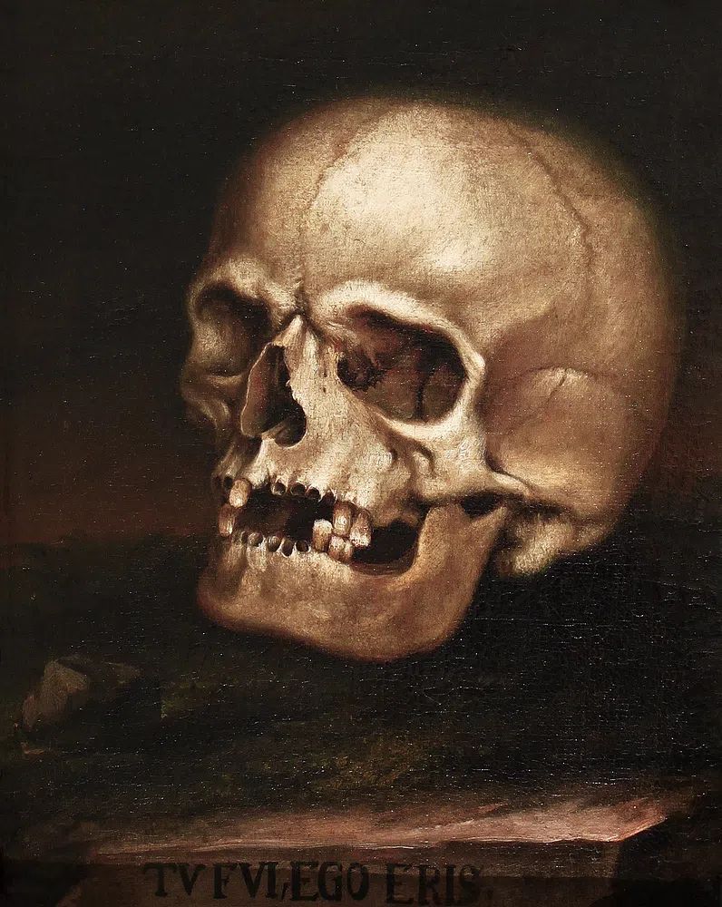 Painting vanitas (1718-1785) Johann Georg. poster detail