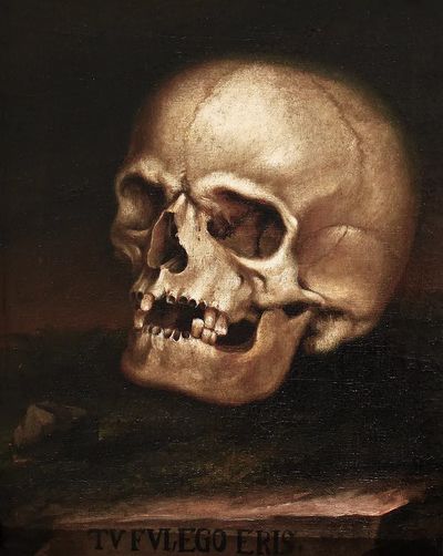 Painting vanitas (1718-1785) Johann Georg.