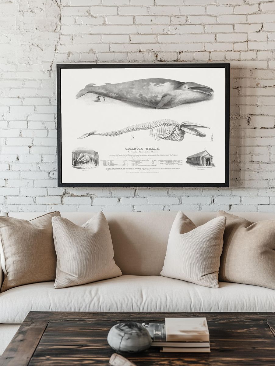 Gigantic Whale: Greenland Whale. room preview
