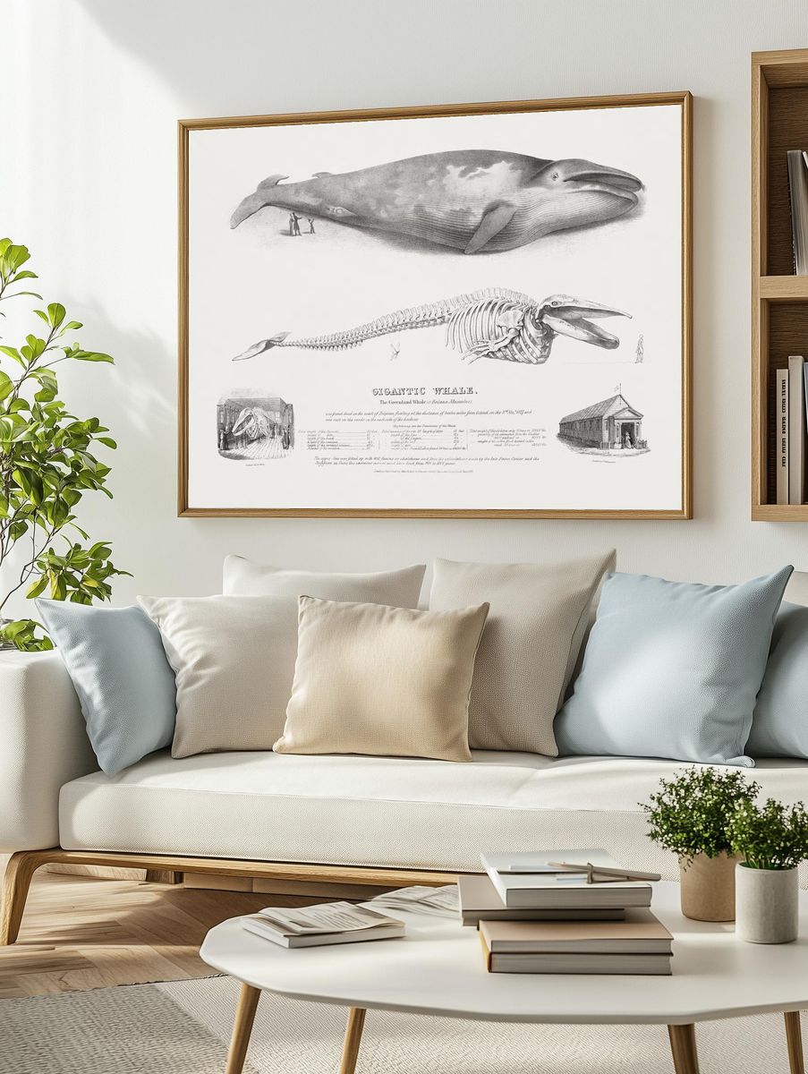 Gigantic Whale: Greenland Whale. — room view 2