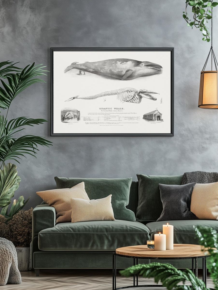 Gigantic Whale: Greenland Whale. — room view 4
