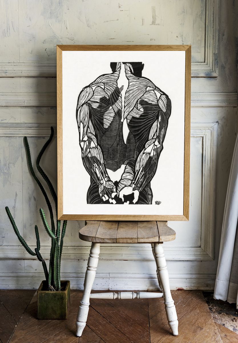 Anatomical study man's back muscles. room preview