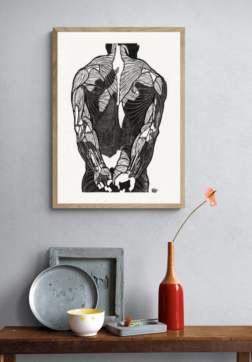 Anatomical study man's back muscles. — room view 3