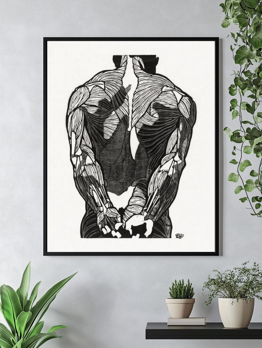 Anatomical study man's back muscles. — room view 4