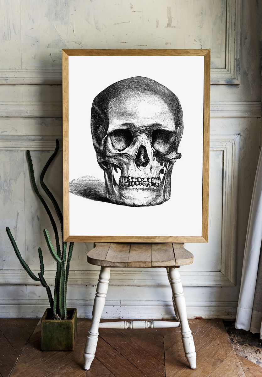 Vintage European style skull engraving. room preview