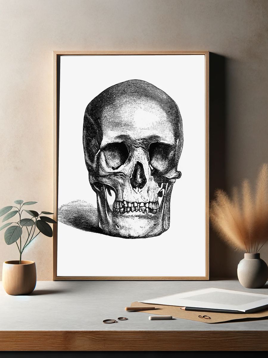 Vintage European style skull engraving. — room view 2