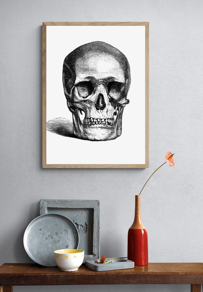 Vintage European style skull engraving. — room view 3