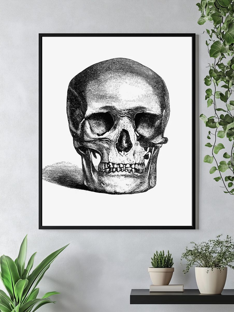Vintage European style skull engraving. — room view 4