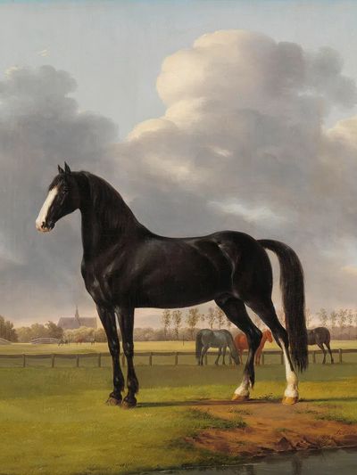 Adriaan van der Hoop’s Trotter. poster print