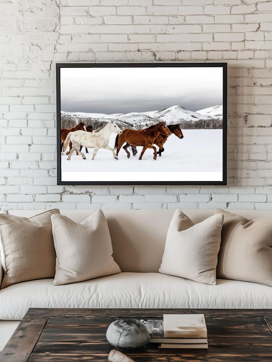 mixed herd wild domesticated horses. room preview